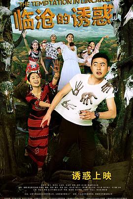 关于养猫我一直是新手 封面图